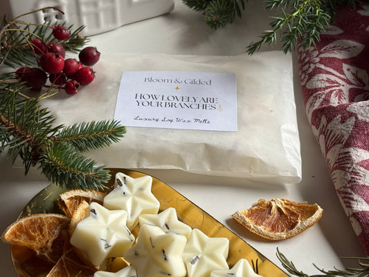 A grounding winter evergreen blend inspired by the moment the tree is brought into the warm, branches still kissed by cold air. Fresh fir and pine meet cinnamon spice and orange peel for a scent that feels both nostalgic and beautifully clean.
How Lovely Are Your Branches is a pure essential oil blend with scent notes of fir needle, pine resin, cinnamon and orange peel
Feels like a winter forest carried indoors: crisp, aromatic, comforting.
Pure essential oils • Vegan • Cruelty-free • Natural soy wax • 