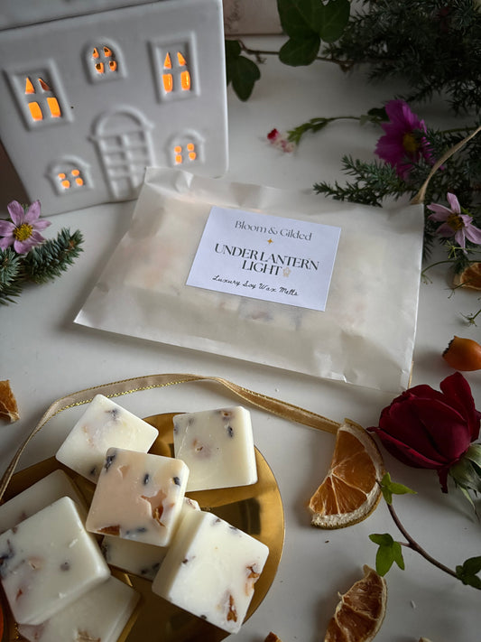 Velvety and golden, this scent glows like candlelight slipping across old wood. Blackcurrant and myrrh blend into warm amber and musk for a rich, mesmerising evening fragrance.

Under Lantern Light has scent notes of blackcurrant, myrrh, amber and soft musk.

It feels like a whispered story shared by the glow of a single flame.

Vegan • Cruelty-free • Natural soy wax • Hand-poured